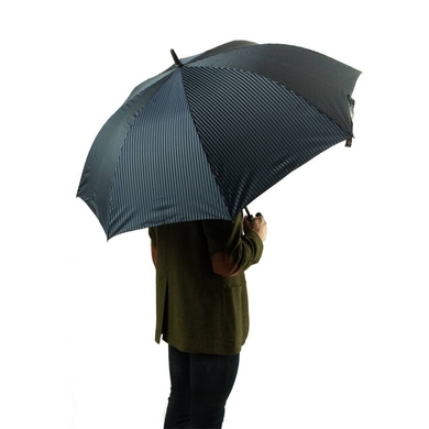Чоловічий парасольку Fulton (Англія) з колекції Knightsbridge-2.