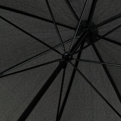 Чоловічий парасольку Fulton (Англія) з колекції Governor-1.