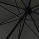 Male зонт Fulton (England) из коллекции Governor-1.