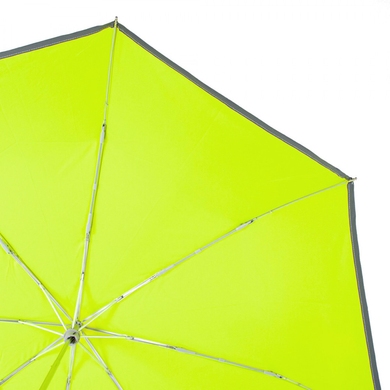 Жіночий парасольку Fulton (Англія) з колекції Minilite-1.