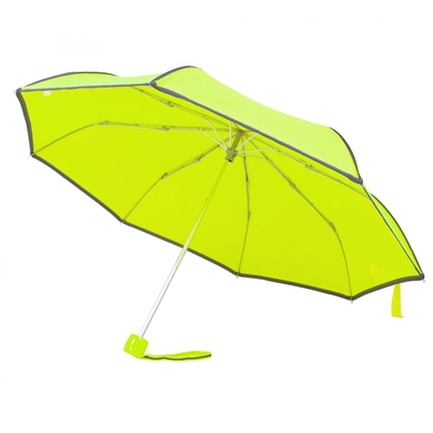 Жіночий парасольку Fulton (Англія) з колекції Minilite-1.