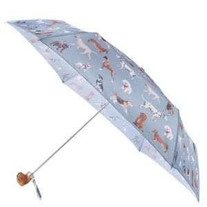 Female umbrella by Fulton (England) from the collection Curio-2 UV.