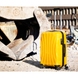 Suitcase CAT (USA) from the collection Verve.