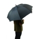 Мужской зонт Fulton (Англия) из коллекции Knightsbridge-2.