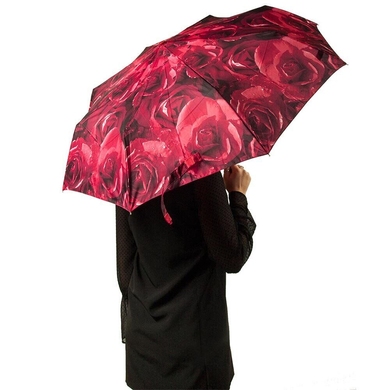 Жіночий парасольку Fulton (Англія) з колекції Open&Close-4.