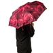 Female зонт Fulton (England) из коллекции Open&Close-4.