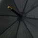 Мужской зонт Fulton (Англия) из коллекции Governor-1.