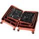 Wings (Poland) suitcase from the COCKATIEL collection.