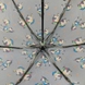 Женский зонт Fulton (Англия) из коллекции Soho-2.