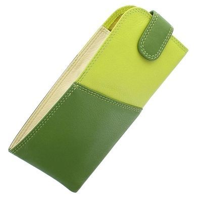 Футляр для окулярів з натуральної шкіри Visconti Rainbow Belize RB106 Lime Multi