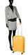 Snowball (France) suitcase from the Oruro collection.