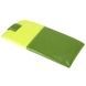 Футляр для окулярів з натуральної шкіри Visconti Rainbow Belize RB106 Lime Multi