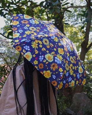 umbrella by Fulton (England) from the collection Tiny-2.