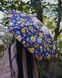 umbrella by Fulton (England) from the collection Tiny-2.
