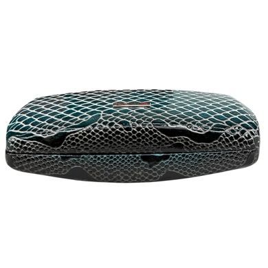 Футляр для очков Karya из лакированной кожи KR3005-020-1 зеленый с коричневым
