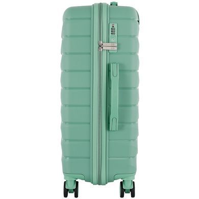 Wings (Poland) suitcase from the Murre collection.