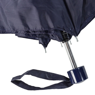 Жіночий парасольку Incognito (Англія) з колекції Incognito-3.