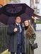 umbrella by Fulton (England) from the collection Executive.