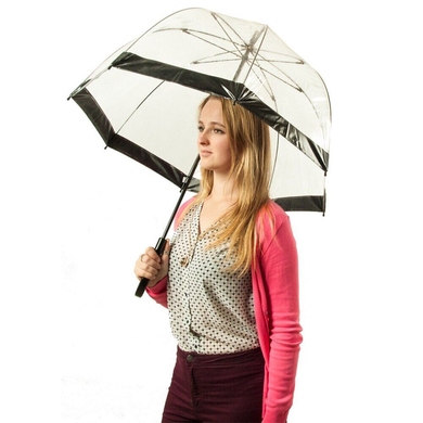 Жіночий парасольку Fulton (Англія) з колекції Birdcage-1.