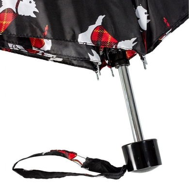 Женский зонт Incognito (Англия) из коллекции Incognito-4.