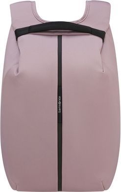 Рюкзак Samsonite (Бельгия).