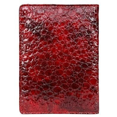 Cover for documents Karya (Turkey). Passport.