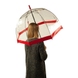 Female зонт Fulton (England) из коллекции Birdcage-1.