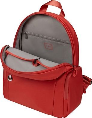 Backpack by Samsonite (Belgium).