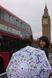 umbrella by Fulton (England) from the collection Minilite-2.