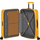 Suitcase American Tourister (USA) from the collection Dashpop.