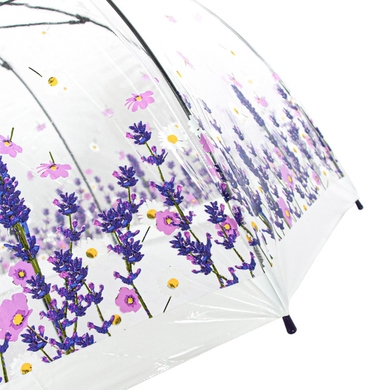 Жіночий парасольку Fulton (Англія) з колекції Birdcage-2.