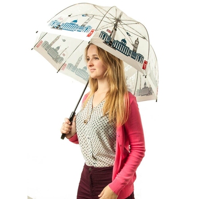 Жіночий парасольку Fulton (Англія) з колекції National Gallery Birdcage-2.