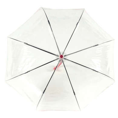 Женский зонт Fulton (Англия) из коллекции Birdcage-2.