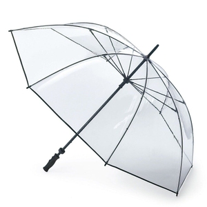 Унісекс парасольку Fulton (Англія) з колекції Clearview.