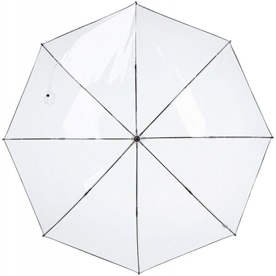 Unisex зонт Fulton (England) из коллекции Clearview.