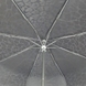 Женский зонт Fulton (Англия) из коллекции Diamond.
