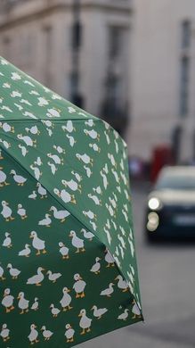 Female umbrella by Fulton (England) from the collection Curio-2 UV.