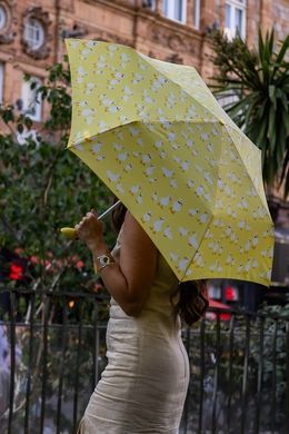 Female umbrella by Fulton (England) from the collection Curio-2 UV.