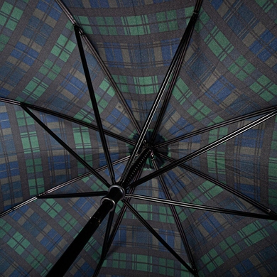 Чоловічий парасольку Fulton (Англія) з колекції Huntsman-2.