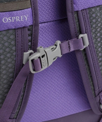 Рюкзак Osprey (США) з колекції Daylite.