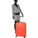 Suitcase Roncato (Italy) from the collection Box Sport 2.0.